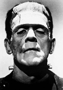 frankenstein210x300