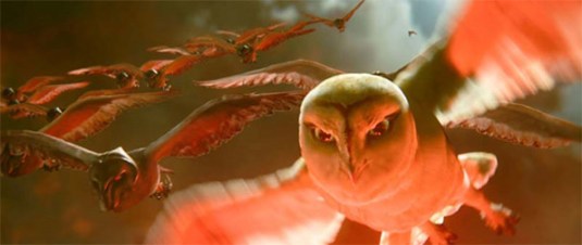 owl3