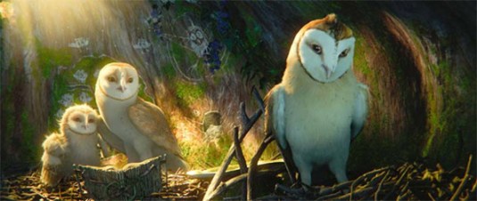 owl4