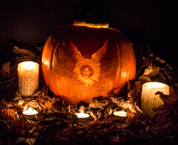 Harry Potter and the cursed child pumpkin